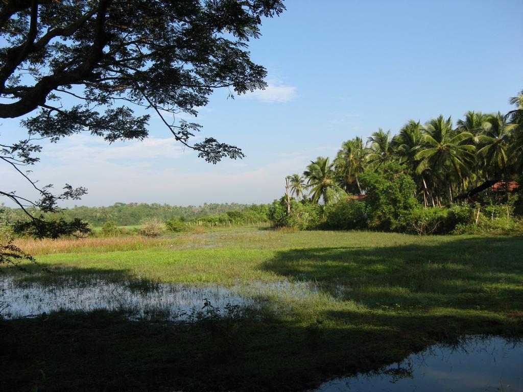Villa Sunrise Tangalle Exterior photo